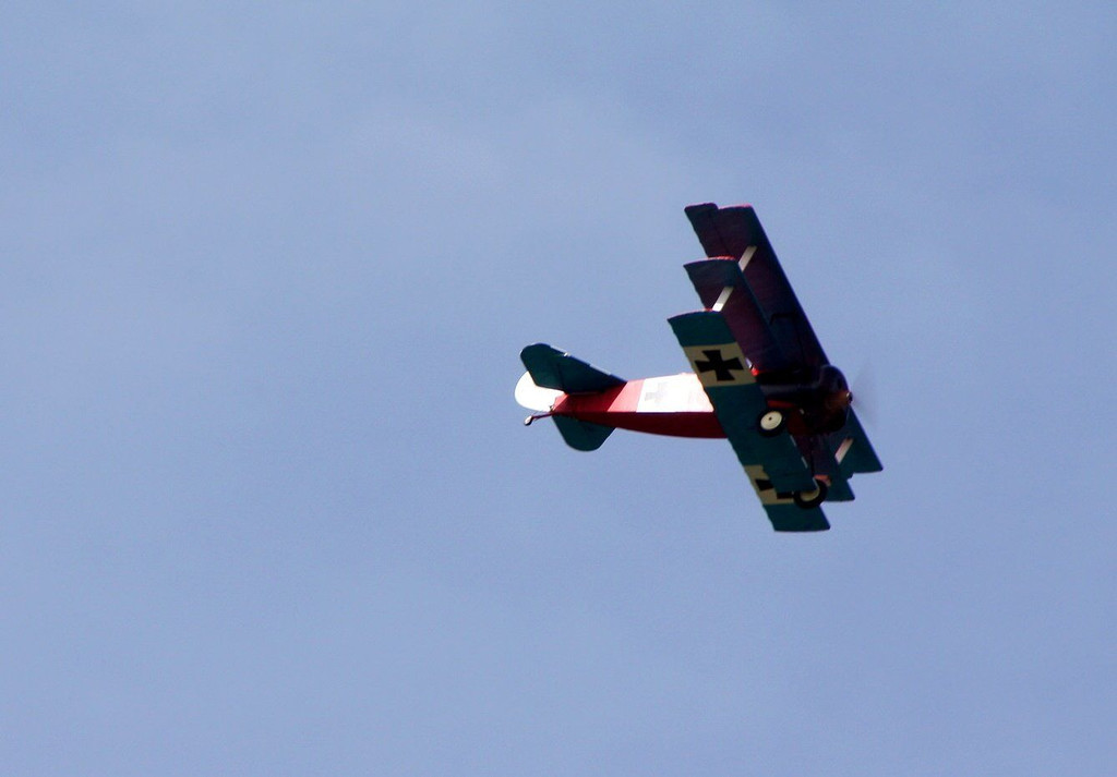 DSC02217.JPG