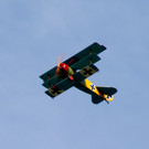 DSC02218.JPG