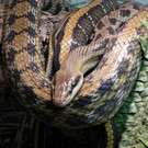 DSCN2582.JPG