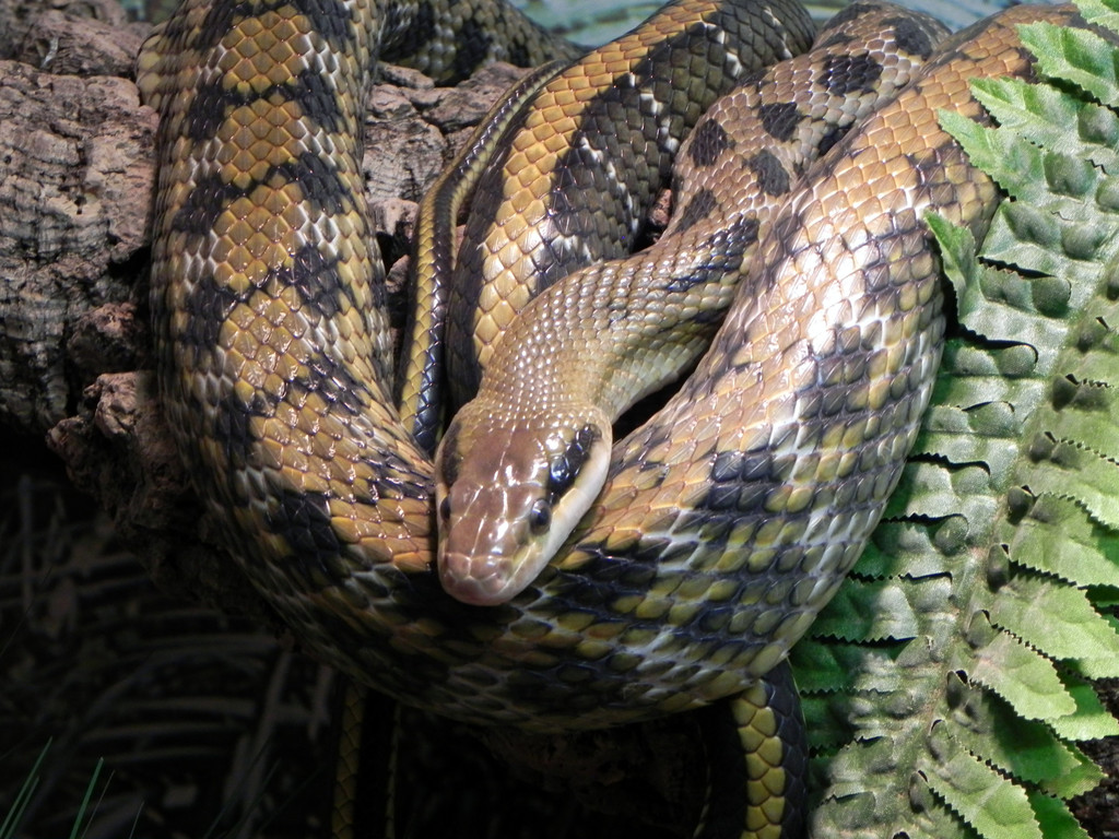 DSCN2582.JPG
