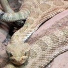 DSCN2584.JPG