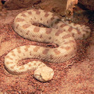 DSCN2586.JPG