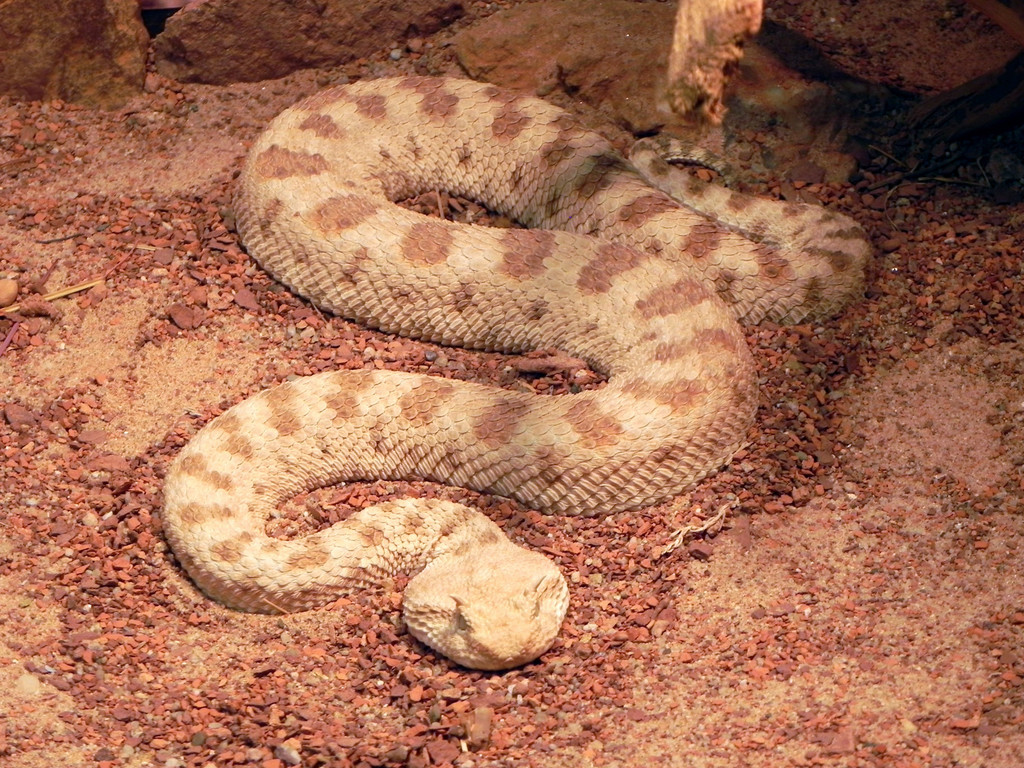 DSCN2586.JPG