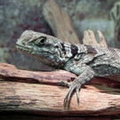 DSCN2589.JPG