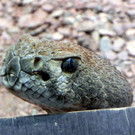 DSCN2590.JPG