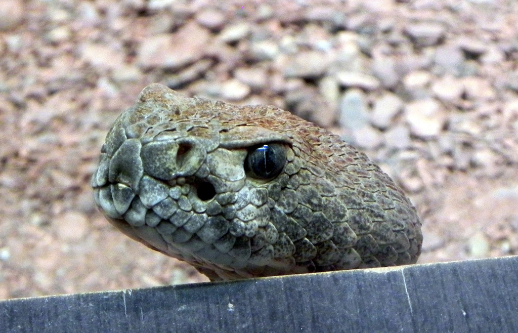 DSCN2590.JPG