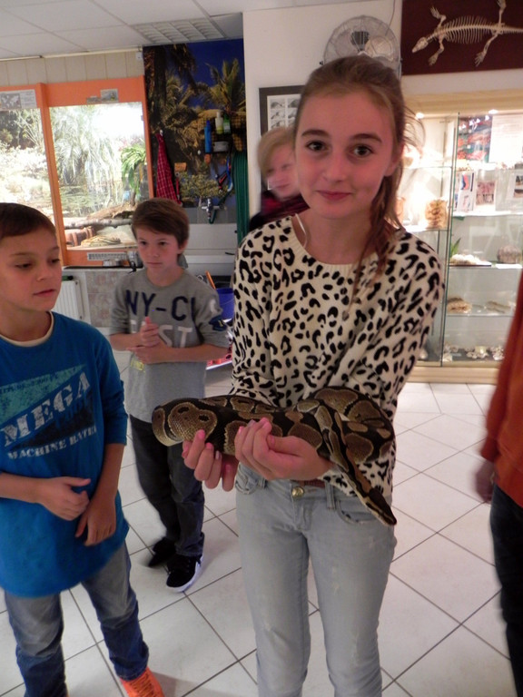 DSCN2617.JPG