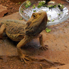 DSCN2632.JPG