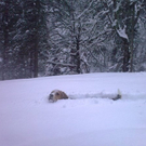 heim_wintersteller2.jpg