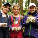 Waldtag Schulstube 20-09-2013 14_jpg-1379943195