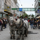 IMG_1808_JPG-1379945199