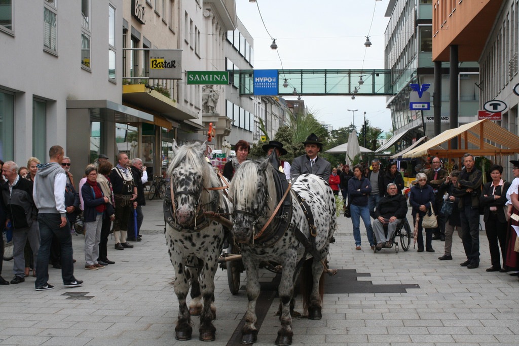 IMG_1808_JPG-1379945199