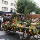 IMG_1810_JPG-1379945234