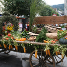 IMG_1811_JPG-1379945253