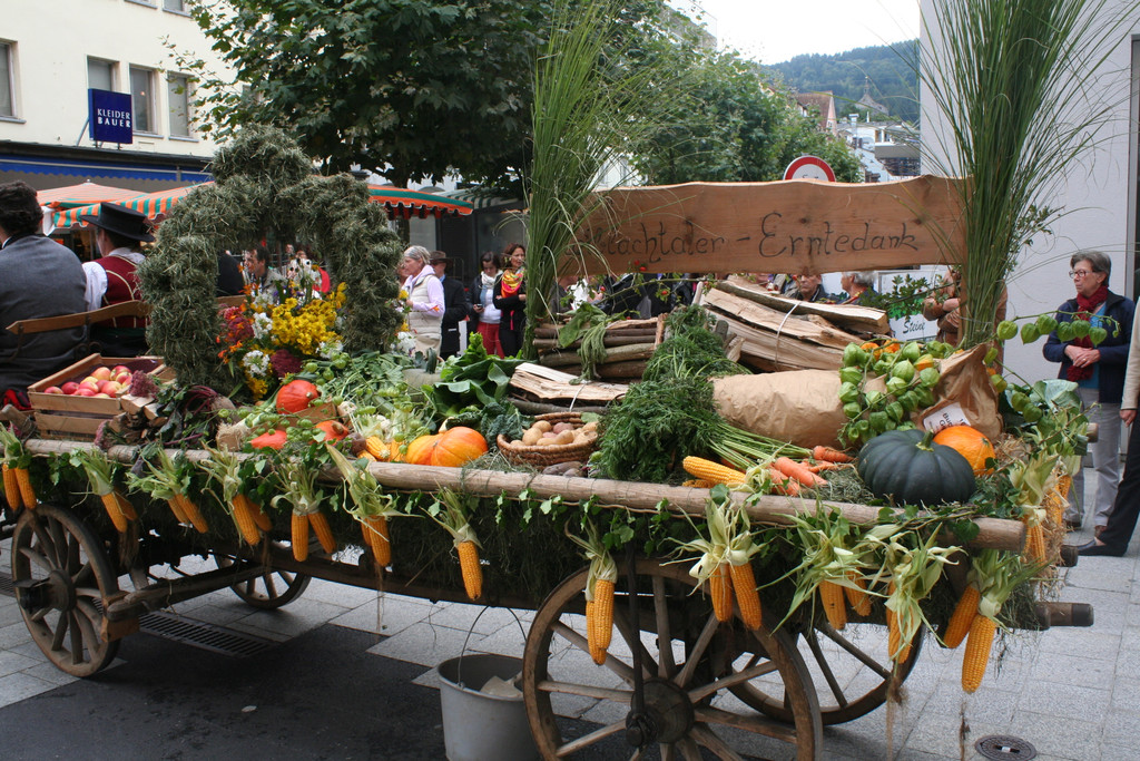 IMG_1811_JPG-1379945253