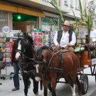 IMG_1831_JPG-1379945481