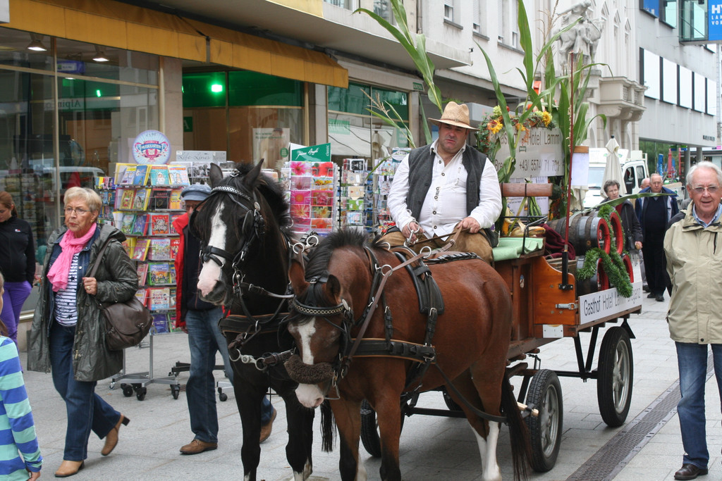 IMG_1831_JPG-1379945481