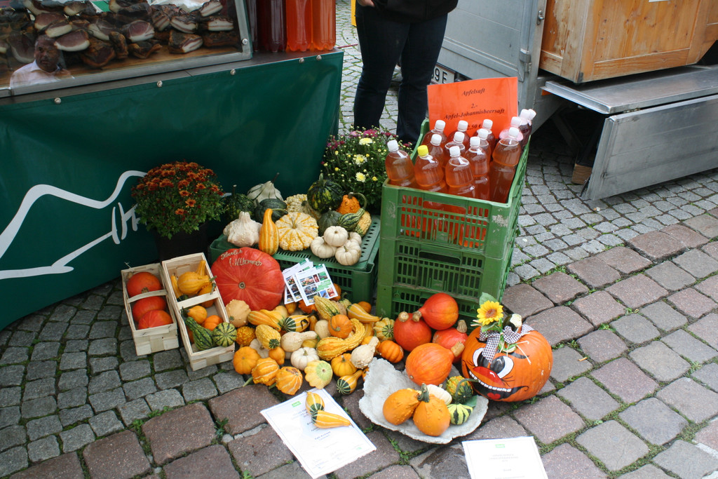 IMG_1833_JPG-1379945513