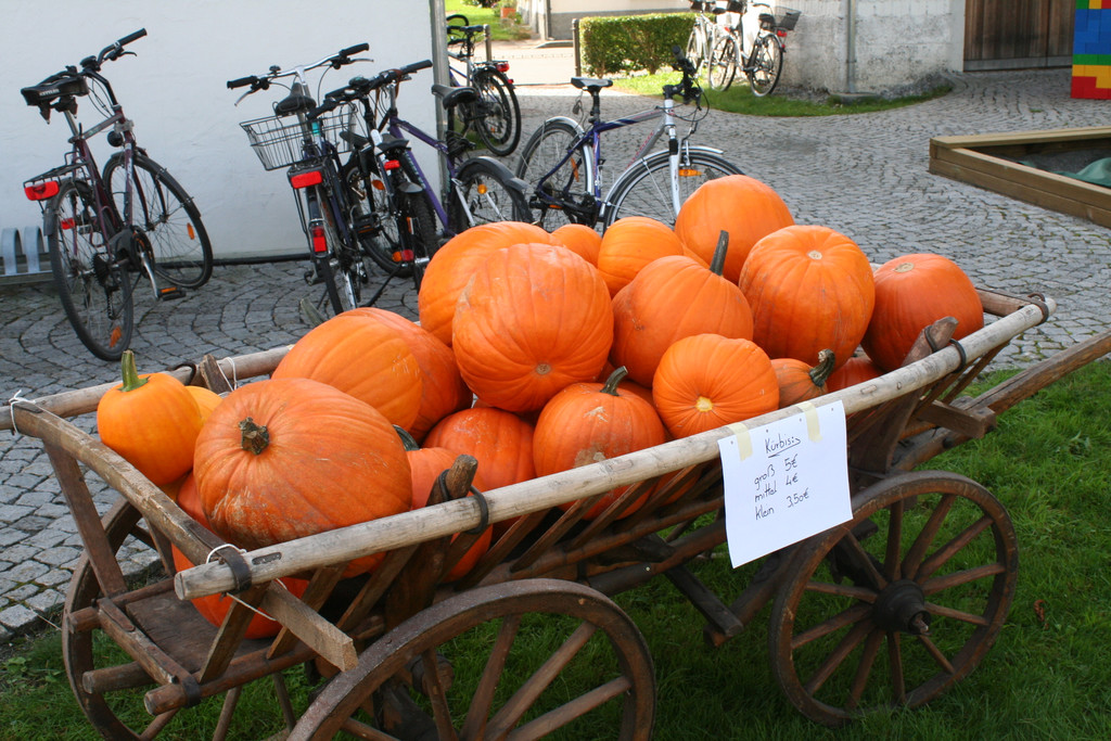 IMG_2049_JPG-1379947717