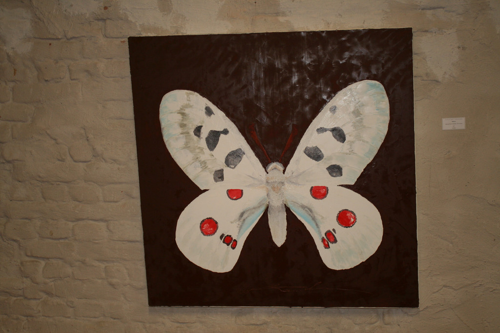 IMG_1892_JPG-1379957126