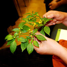 DSC03125.JPG