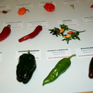 DSC03130.JPG