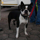 092413e4.jpg