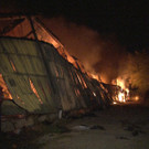 Gro__brand BDA_ _9_.jpg