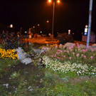 DSC_0157.JPG