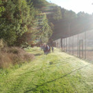 2013-09-25 08_57_10_jpg-1380200095