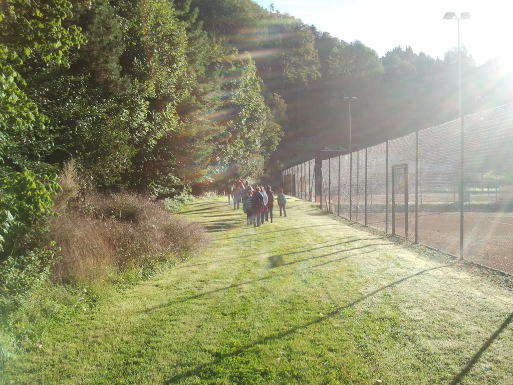 2013-09-25 08_57_10_jpg-1380200095