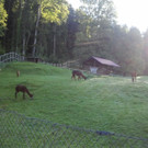 2013-09-25 08_59_29_jpg-1380200104