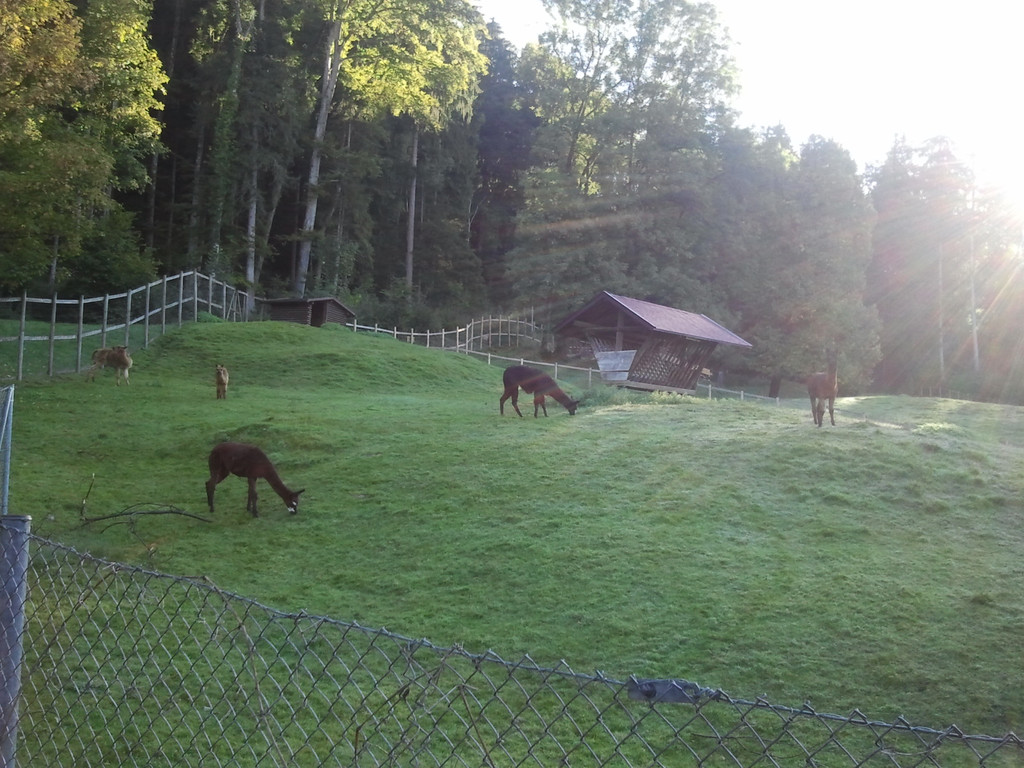 2013-09-25 08_59_29_jpg-1380200104