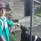 2013-09-25 09_01_40_jpg-1380200113