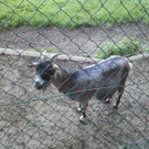 2013-09-25 09_01_45_jpg-1380200122