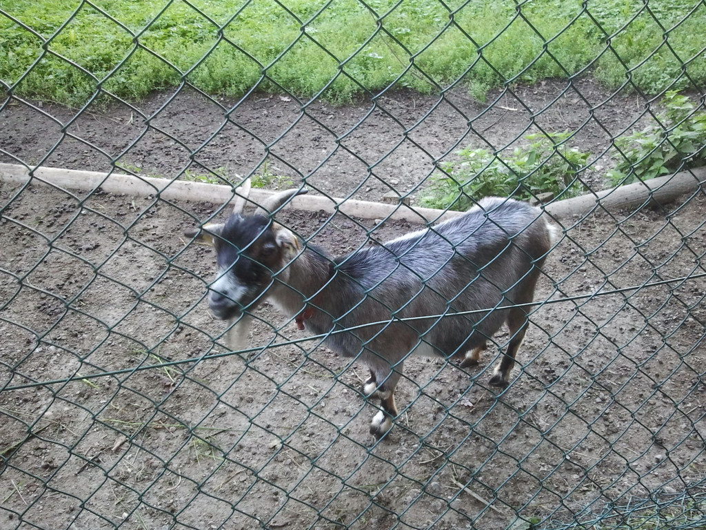 2013-09-25 09_01_45_jpg-1380200122