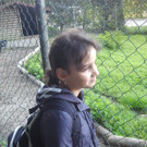 2013-09-25 09_03_32_jpg-1380200168