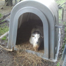 2013-09-25 09_03_44_jpg-1380200178