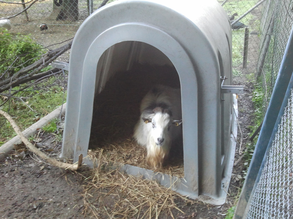 2013-09-25 09_03_44_jpg-1380200178