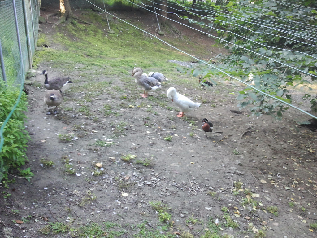 2013-09-25 09_03_57_jpg-1380200187