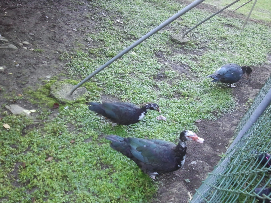 2013-09-25 09_04_10_jpg-1380200196