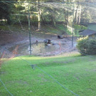 2013-09-25 09_04_41_jpg-1380200205