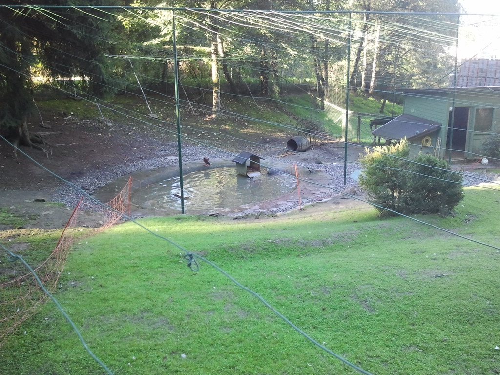 2013-09-25 09_04_41_jpg-1380200205