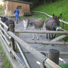 2013-09-25 09_04_54_jpg-1380200214