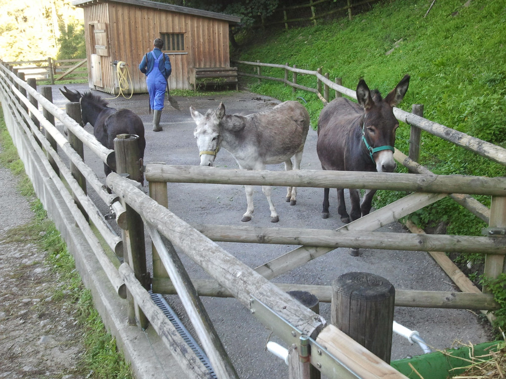 2013-09-25 09_04_54_jpg-1380200214