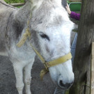 2013-09-25 09_05_44_jpg-1380200223