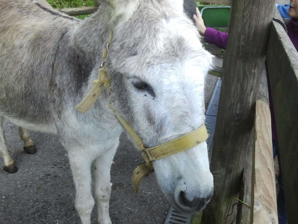 2013-09-25 09_05_44_jpg-1380200223