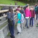 2013-09-25 09_06_17_jpg-1380200232