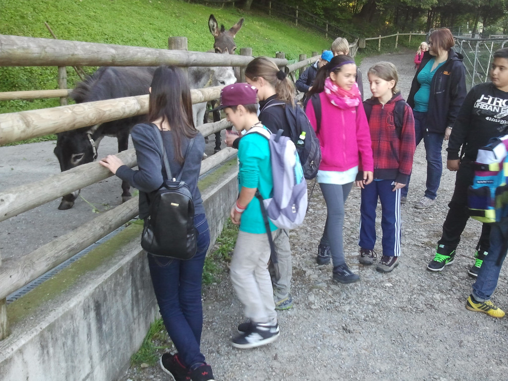 2013-09-25 09_06_17_jpg-1380200232