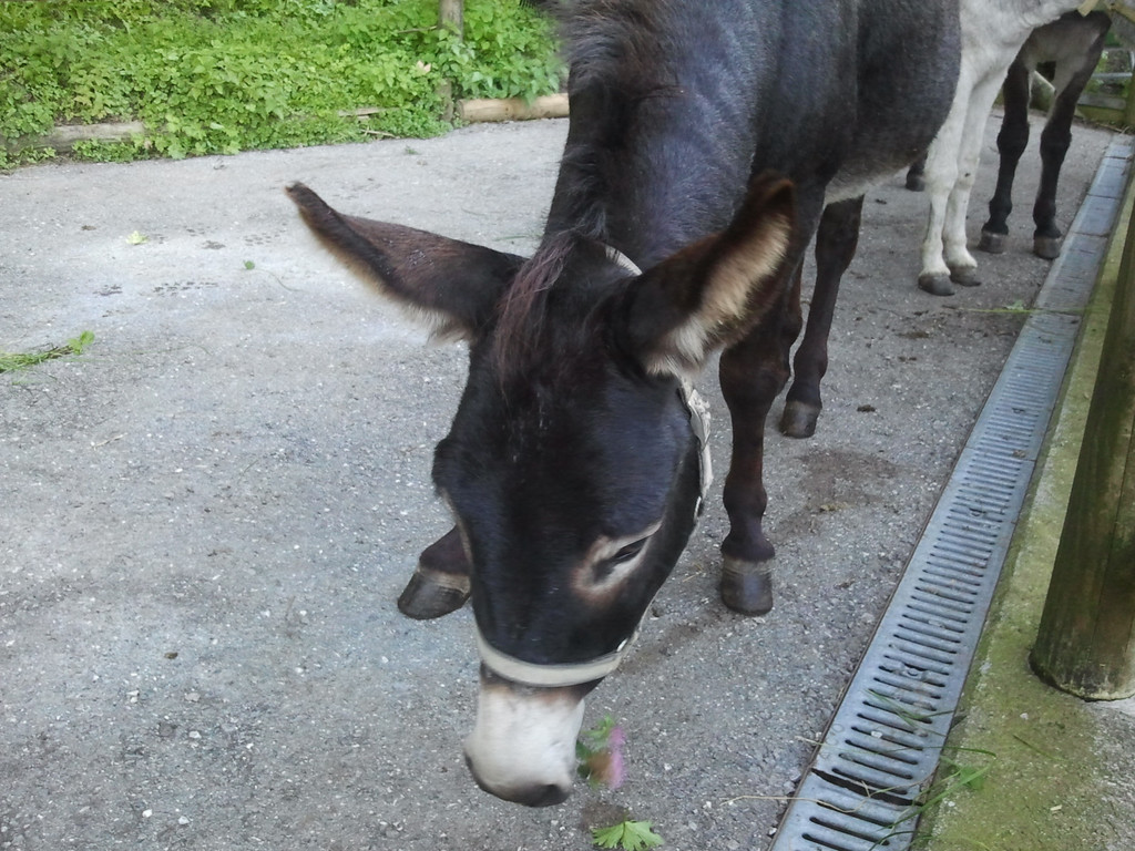 2013-09-25 09_06_26_jpg-1380200241